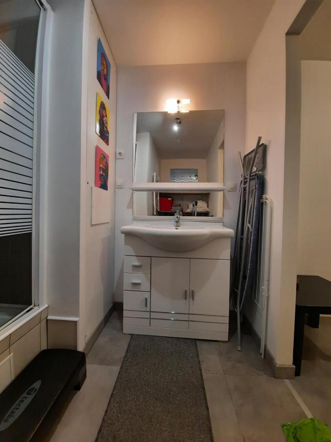 Copropriete Les Iris Apartment Saint-Etienne  Bagian luar foto