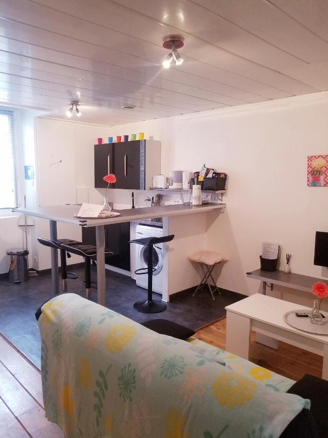 Copropriete Les Iris Apartment Saint-Etienne  Bagian luar foto